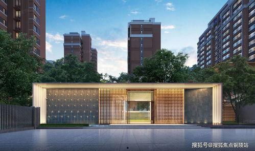 石家庄龙湖最新爆料