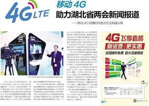 湖北爆料最新新闻报道,聚焦民生热点，揭示社会现象