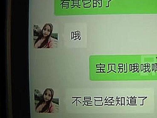 新乡记者爆料事件始末最新消息,真相追踪与舆论发酵全纪录