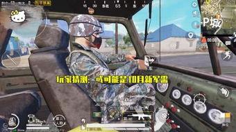 新军军需爆料最新消息,揭秘最新军事装备与战略动向