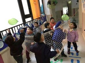 杭州小学最新爆料事件,校园安全事件引发社会关注