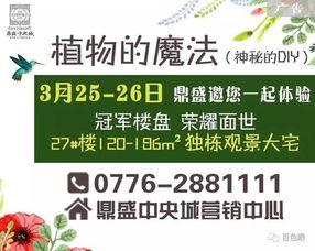百色今日爆料信息最新查询